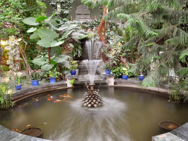 Kretinga Winter Garden contains a collection of rare tropical plants